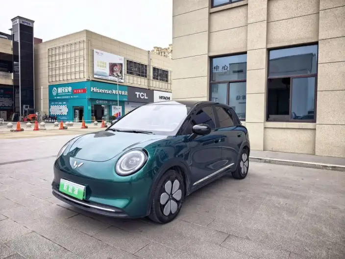 Wuling BingoPro 2026 Model 330km Exclusive Model