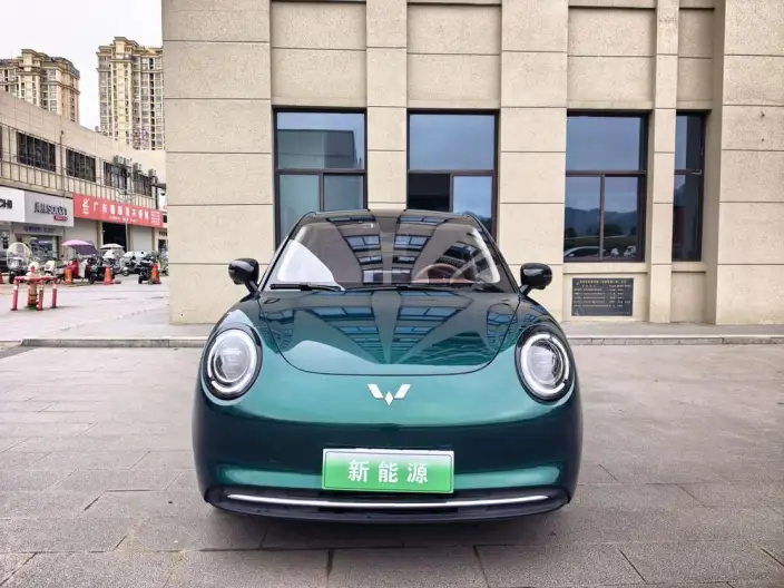 Wuling BingoPro 2026 Model 330km Exclusive Model