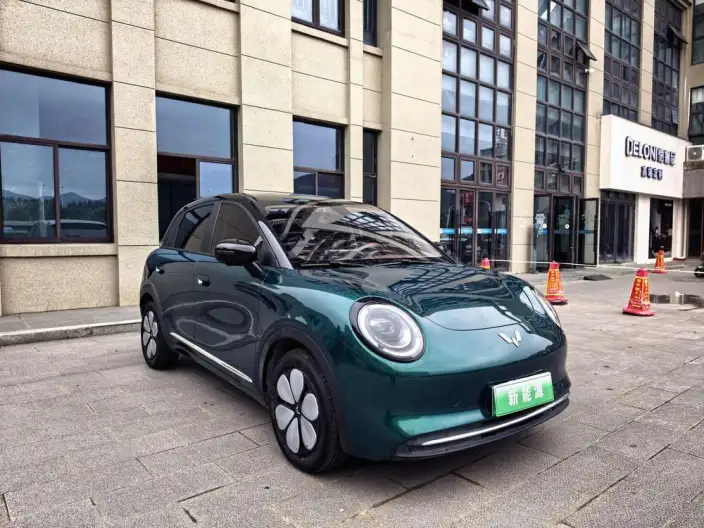 Wuling BingoPro 2026 Model 330km Exclusive Model