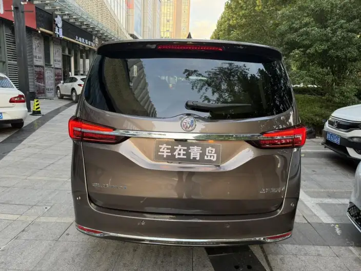 Buick GL8 2022 Model Facelift Business class 2.0T Noble Model – фото 5