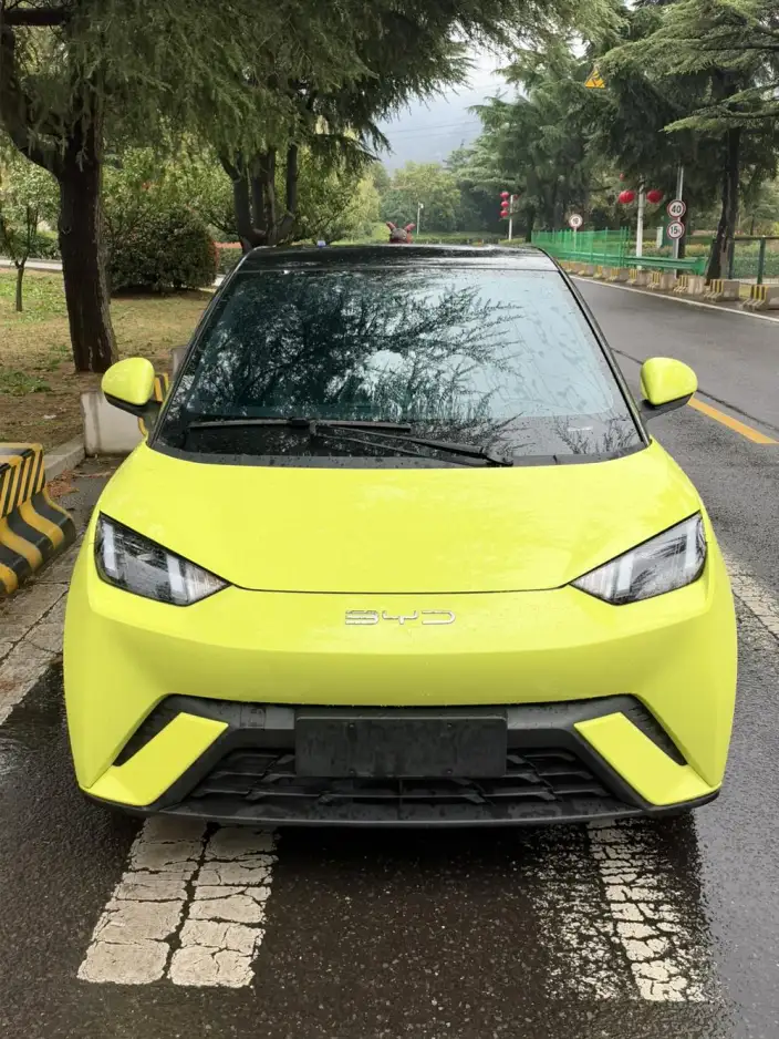 BYD Seagull 2023 Model Free Edition – фото 2