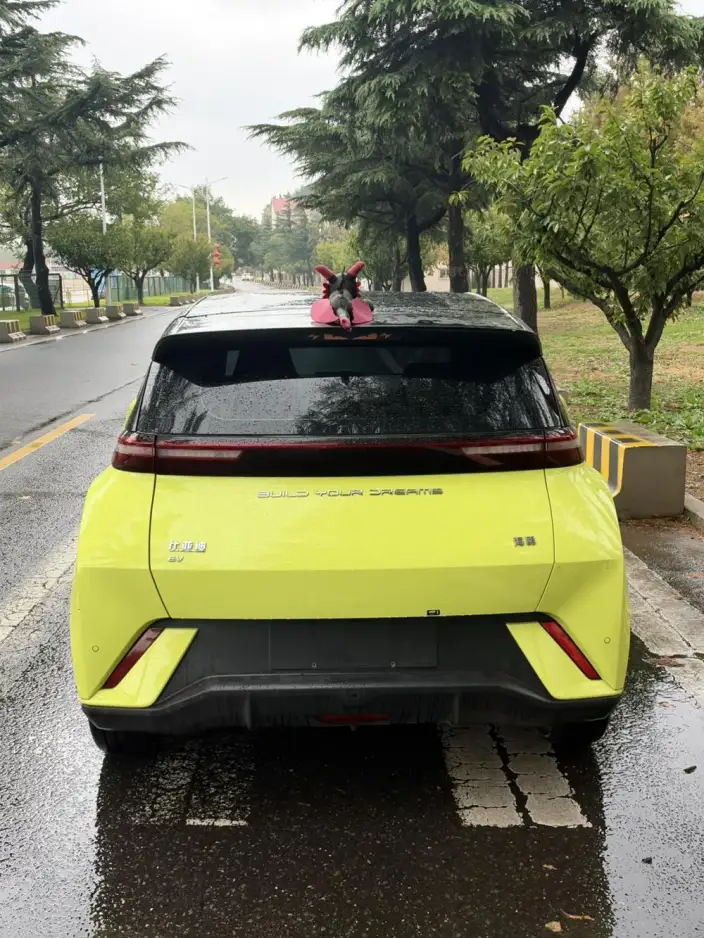BYD Seagull 2023 Model Free Edition – фото 4