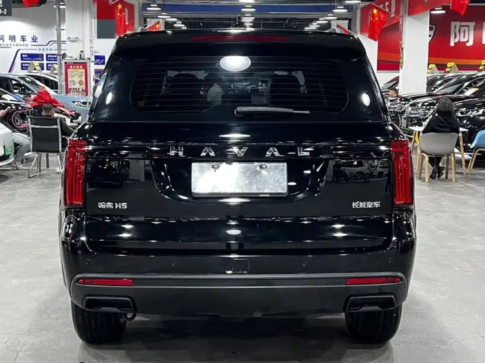 Haval H5 2025 Model 2.0T Diesel Pilot Automatic 4WD – фото 5