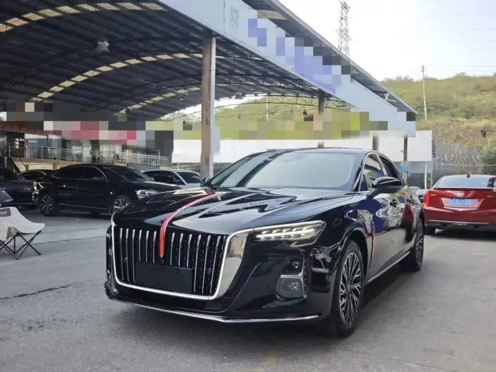 Hongqi H5 2025 Model 2.0T Automatic Flag Enjoy Edition – фото 1