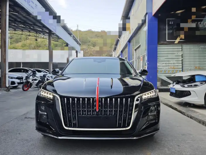Hongqi H5 2025 Model 2.0T Automatic Flag Enjoy Edition – фото 2