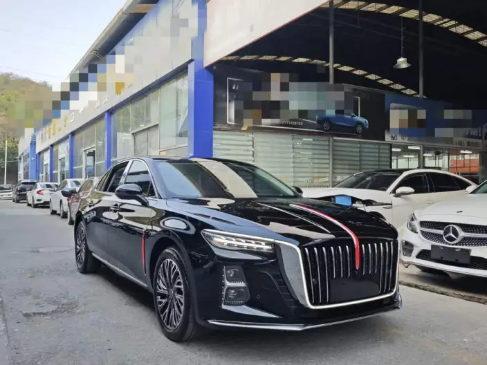Hongqi H5 2025 Model 2.0T Automatic Flag Enjoy Edition – фото 3