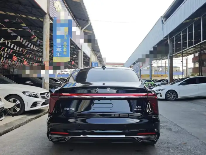 Hongqi H5 2025 Model 2.0T Automatic Flag Enjoy Edition – фото 5
