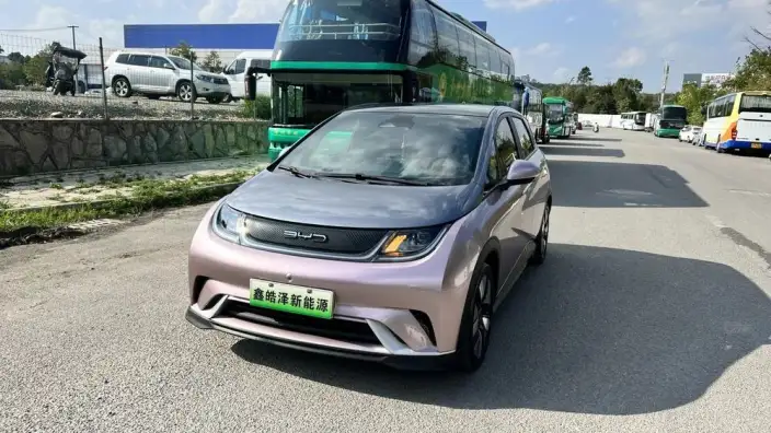 BYD Dolphin 2021 Model Knight Edition – фото 1