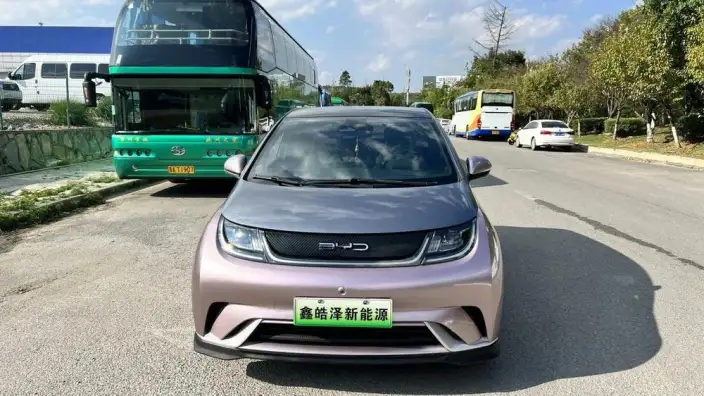 BYD Dolphin 2021 Model Knight Edition – фото 2
