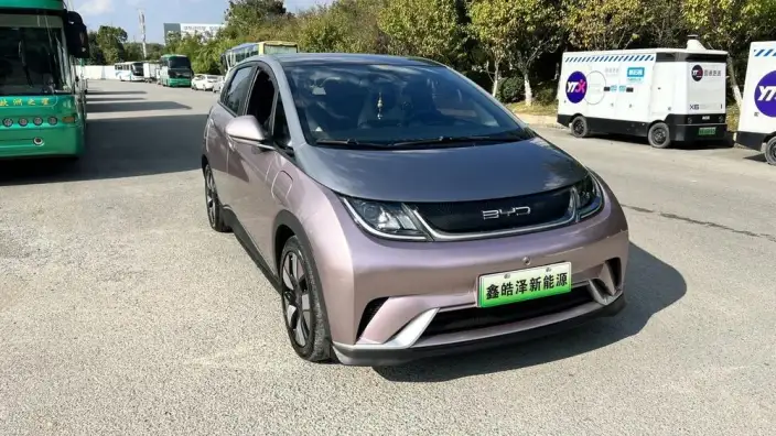 BYD Dolphin 2021 Model Knight Edition – фото 3