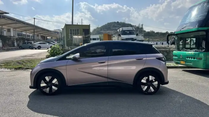 BYD Dolphin 2021 Model Knight Edition – фото 4