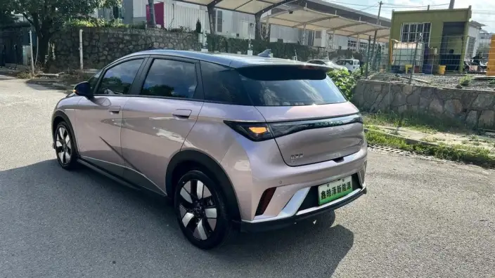 BYD Dolphin 2021 Model Knight Edition – фото 5