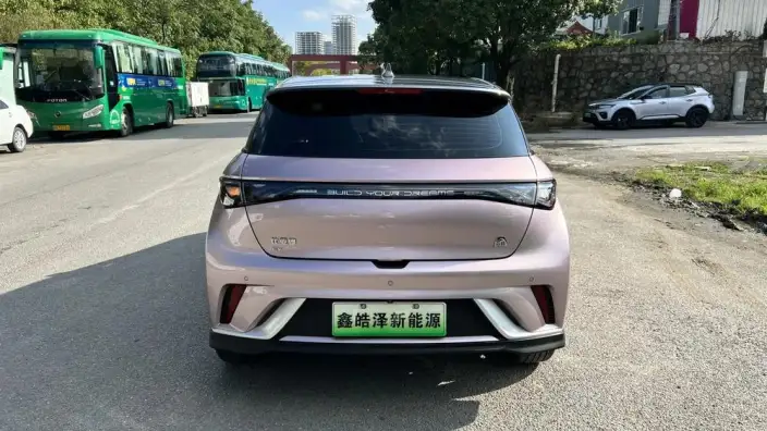 BYD Dolphin 2021 Model Knight Edition – фото 6