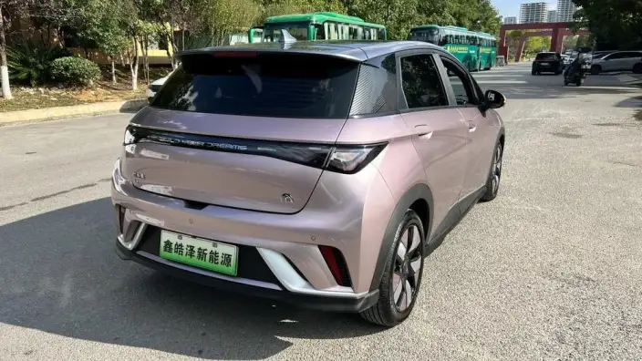 BYD Dolphin 2021 Model Knight Edition – фото 7