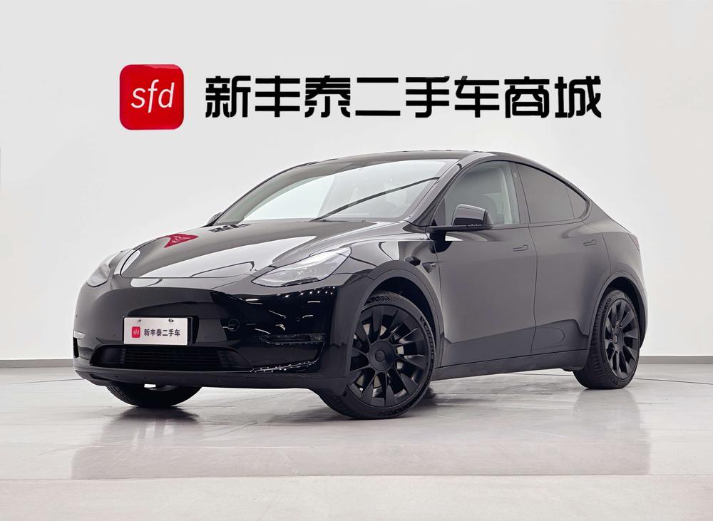 Tesla Model Y 2021 Standard Range RWD – фото 1