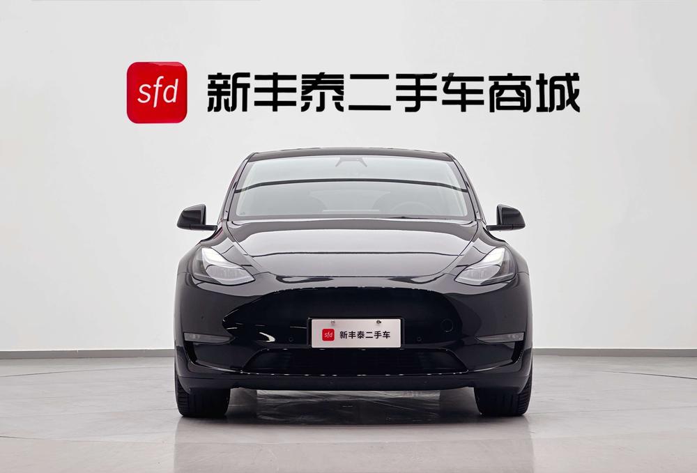 Tesla Model Y 2021 Standard Range RWD – фото 2