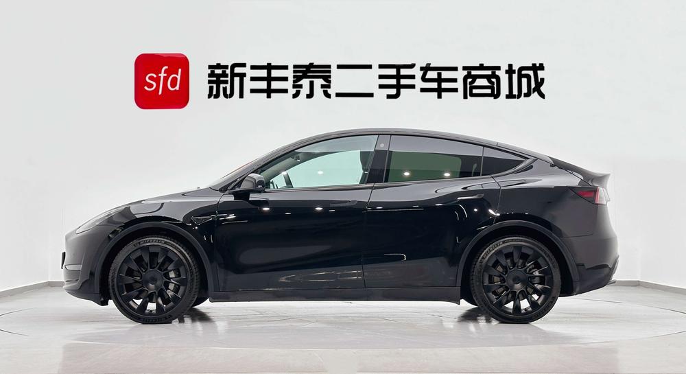 Tesla Model Y 2021 Standard Range RWD – фото 3