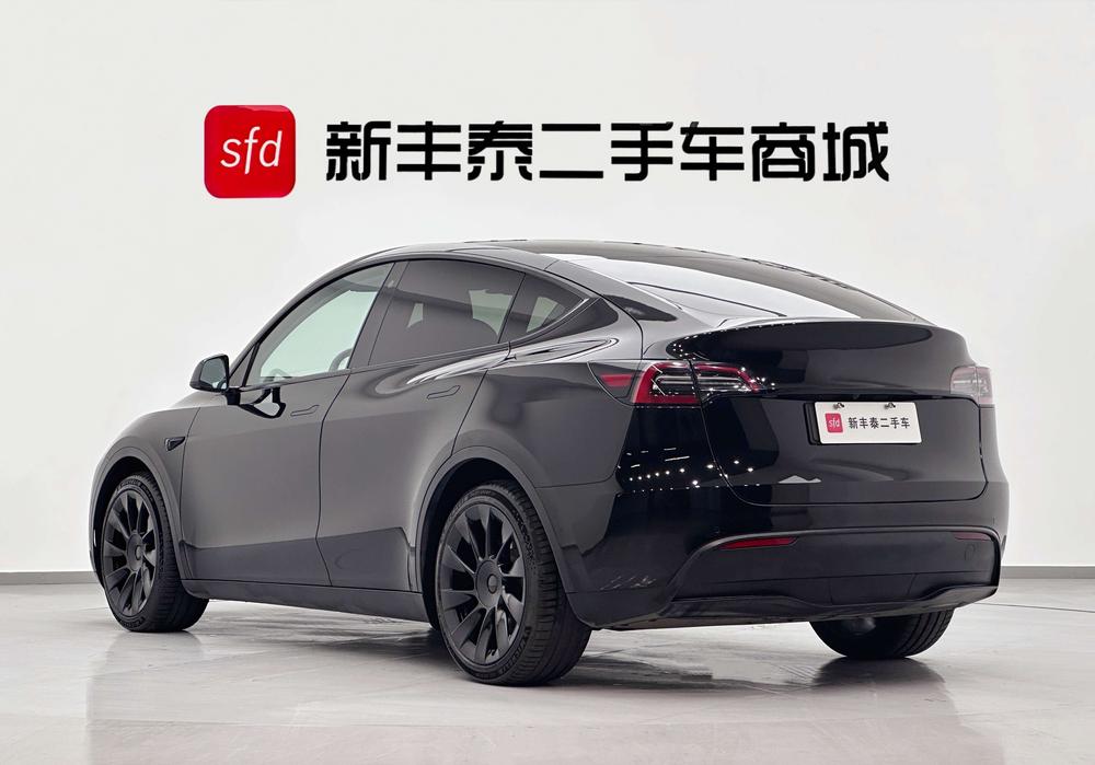 Tesla Model Y 2021 Standard Range RWD – фото 4