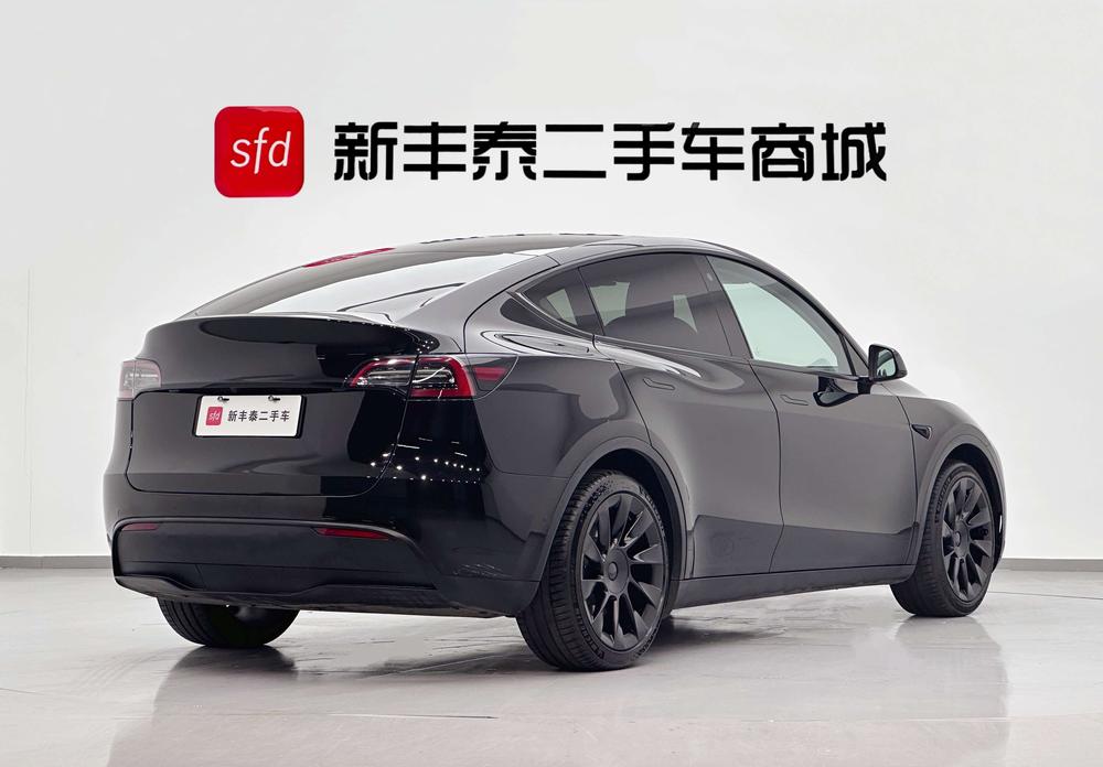 Tesla Model Y 2021 Standard Range RWD – фото 6