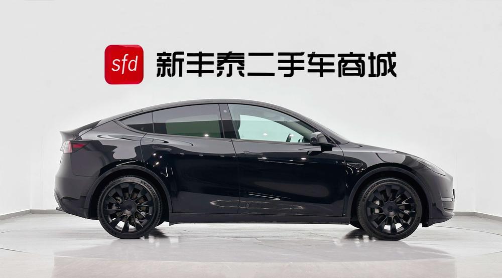 Tesla Model Y 2021 Standard Range RWD – фото 7