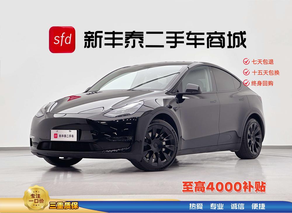 Tesla Model Y 2021 Standard Range RWD – фото 10