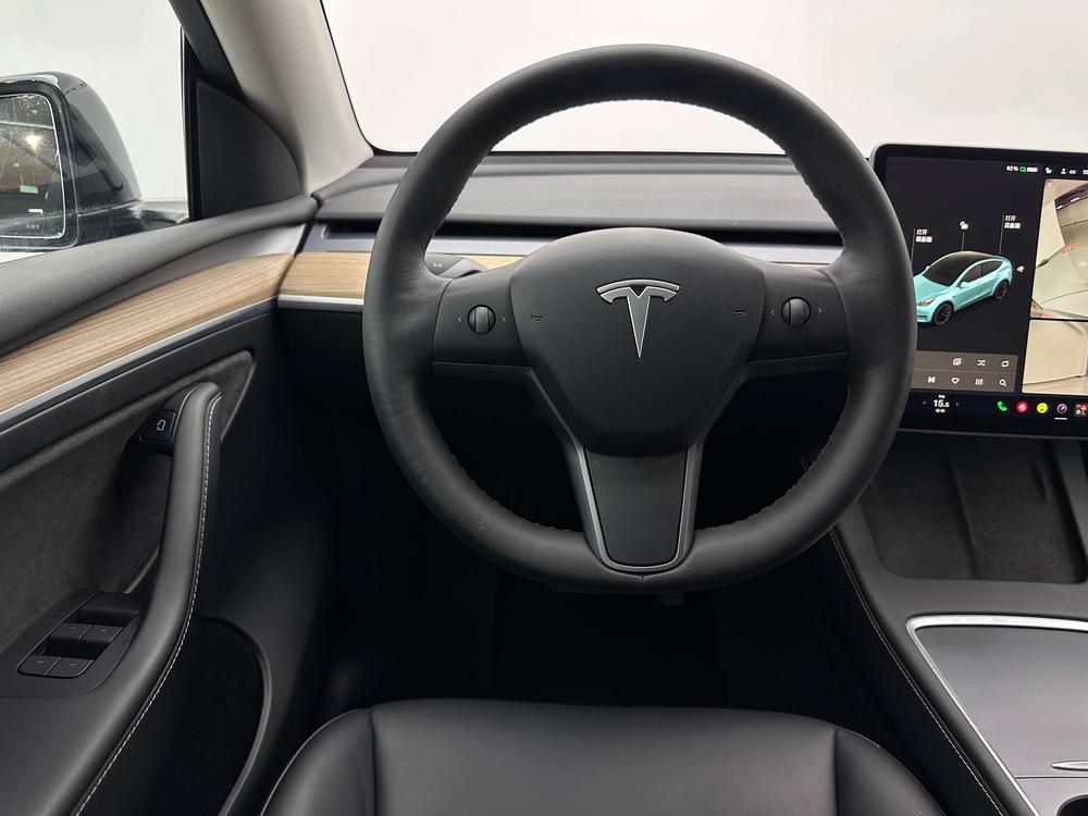 Tesla Model Y 2021 Standard Range RWD – фото 19