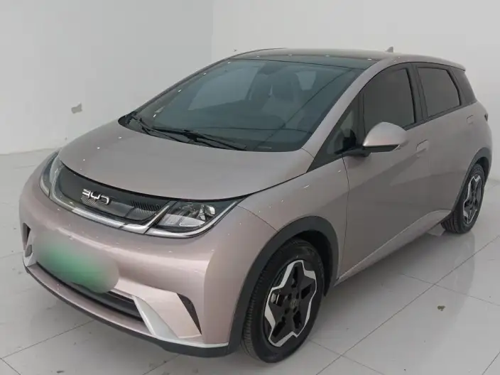 BYD Dolphin 2021 Model Free Edition – фото 1