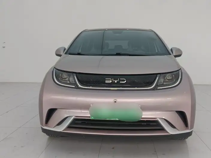 BYD Dolphin 2021 Model Free Edition – фото 2