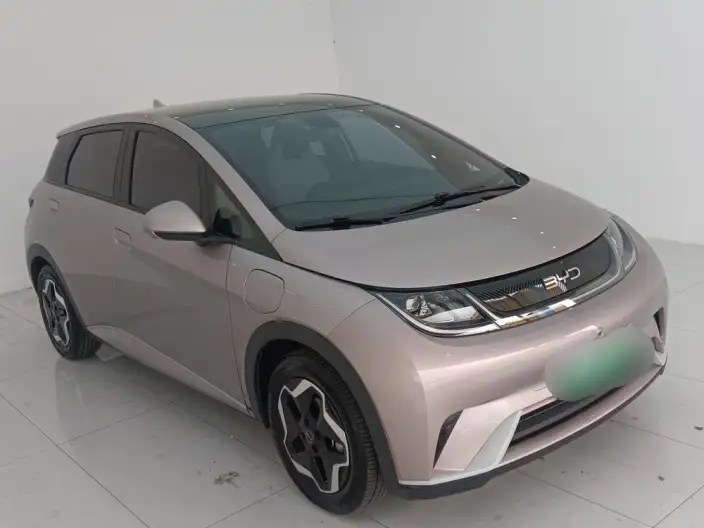 BYD Dolphin 2021 Model Free Edition – фото 3