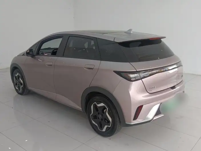 BYD Dolphin 2021 Model Free Edition – фото 4