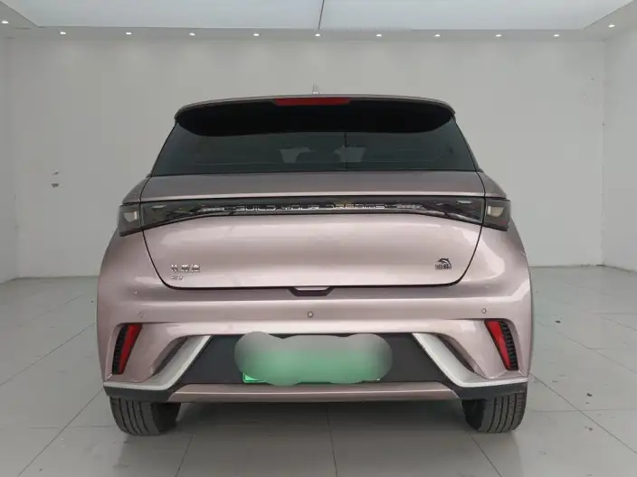 BYD Dolphin 2021 Model Free Edition – фото 5
