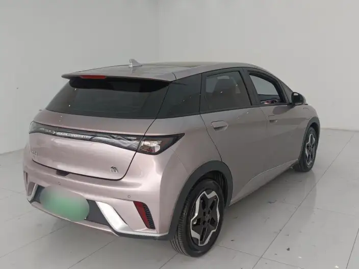 BYD Dolphin 2021 Model Free Edition – фото 6