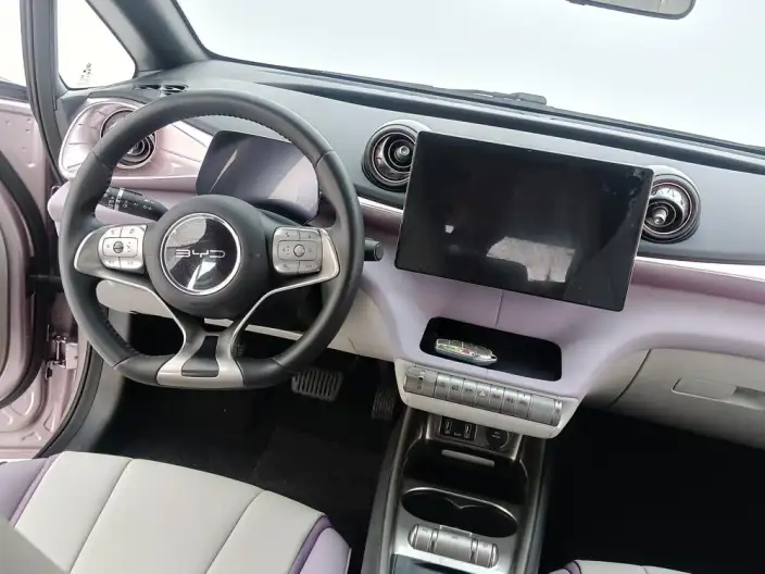 BYD Dolphin 2021 Model Free Edition – фото 9
