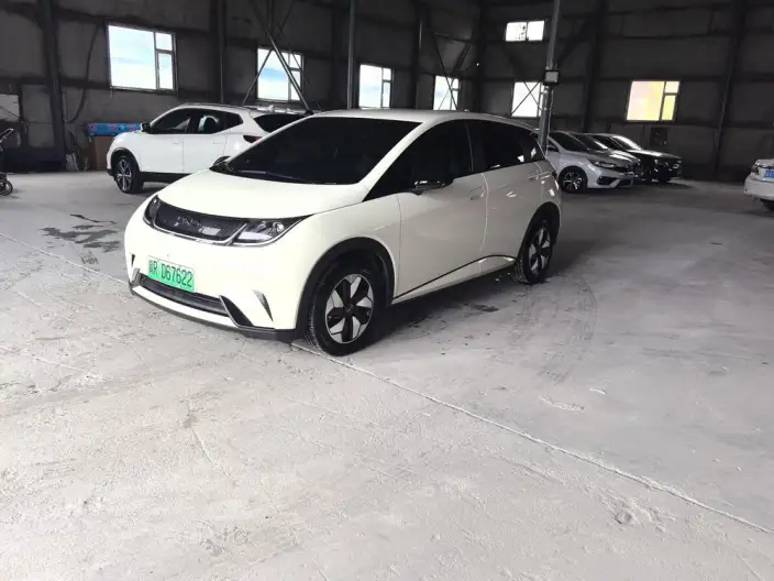 BYD Dolphin 2025 Model 420KM Free Edition – фото 1