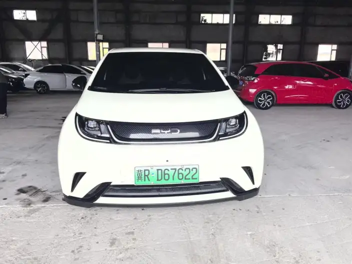 BYD Dolphin 2025 Model 420KM Free Edition – фото 2