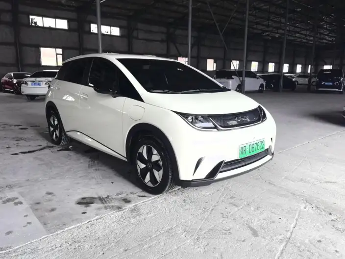 BYD Dolphin 2025 Model 420KM Free Edition – фото 3