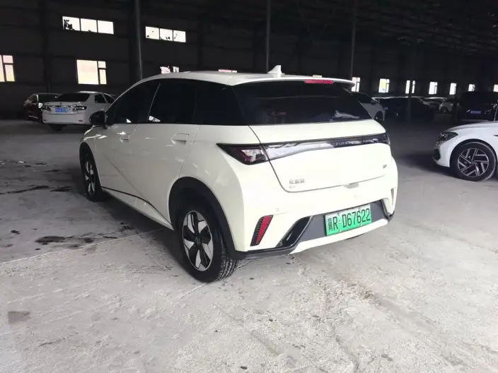 BYD Dolphin 2025 Model 420KM Free Edition – фото 4