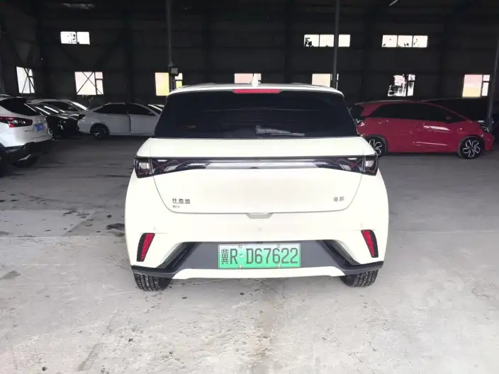 BYD Dolphin 2025 Model 420KM Free Edition – фото 5