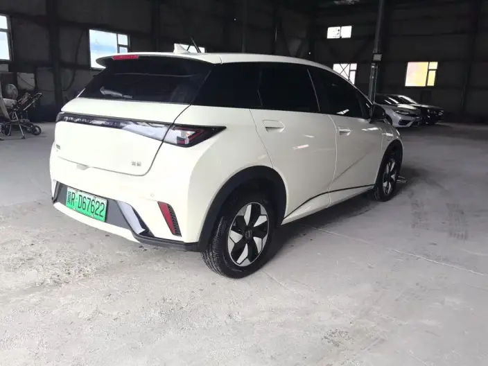 BYD Dolphin 2025 Model 420KM Free Edition – фото 6