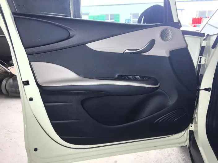 BYD Dolphin 2025 Model 420KM Free Edition – фото 9