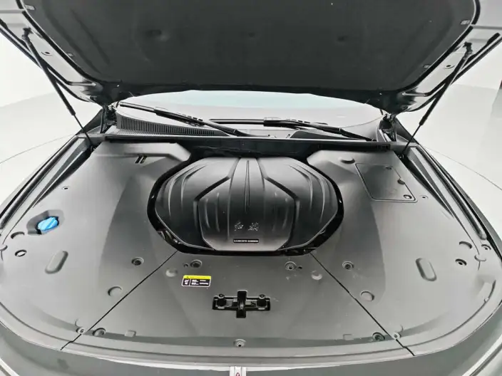 HONGQI H9 2022 Model 2.0T Smart Flag Enjoy Edition – фото 10
