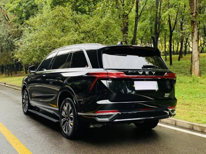 Wey Blue Mountain 2023 Model 4WD Ultra-long Endurance – фото 5