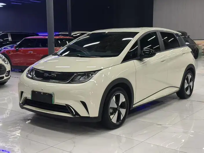 BYD Dolphin 2023 Model Free Edition – фото 1