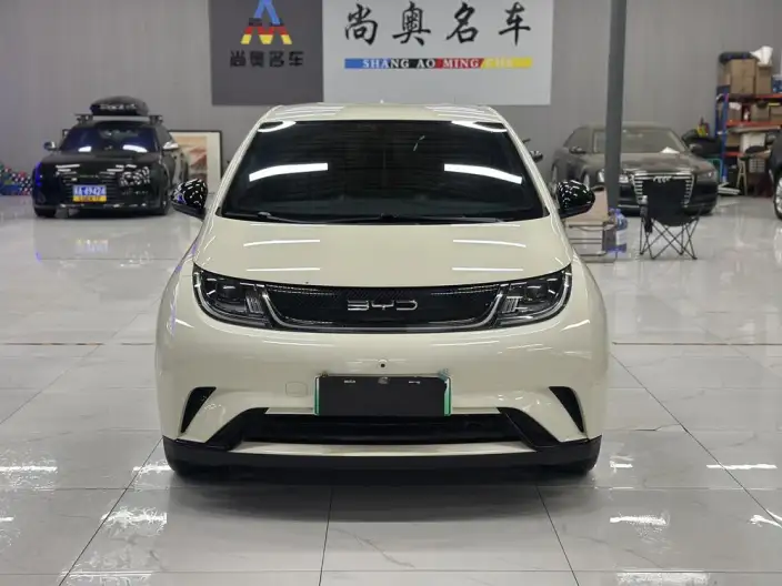 BYD Dolphin 2023 Model Free Edition – фото 2
