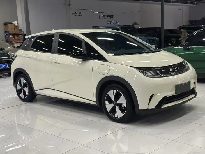 BYD Dolphin 2023 Model Free Edition – фото 3