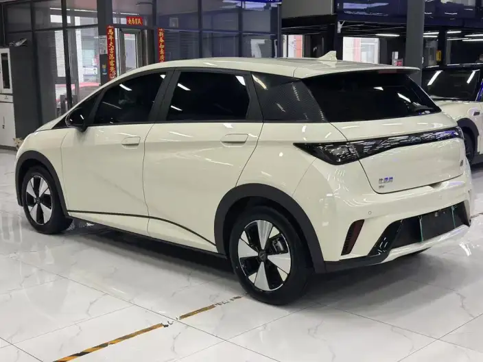 BYD Dolphin 2023 Model Free Edition – фото 4