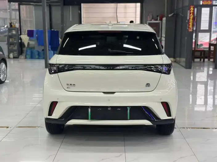 BYD Dolphin 2023 Model Free Edition – фото 5