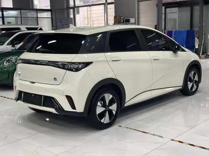 BYD Dolphin 2023 Model Free Edition – фото 6