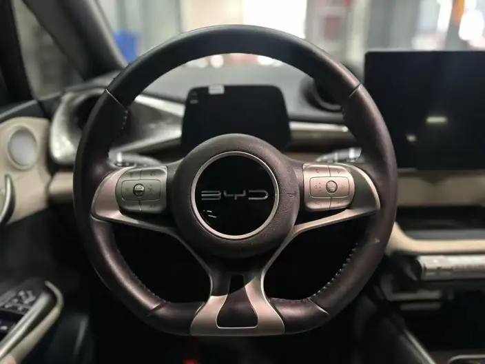 BYD Dolphin 2023 Model Free Edition – фото 9