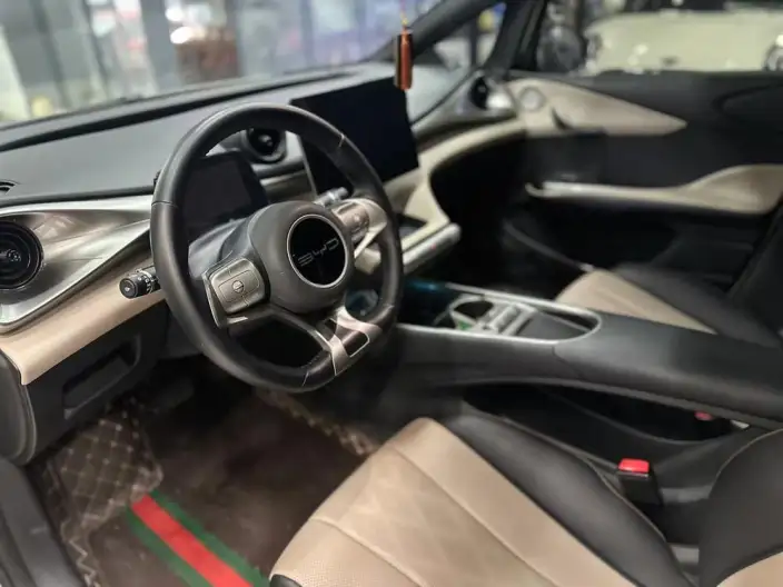 BYD Dolphin 2023 Model Free Edition – фото 10